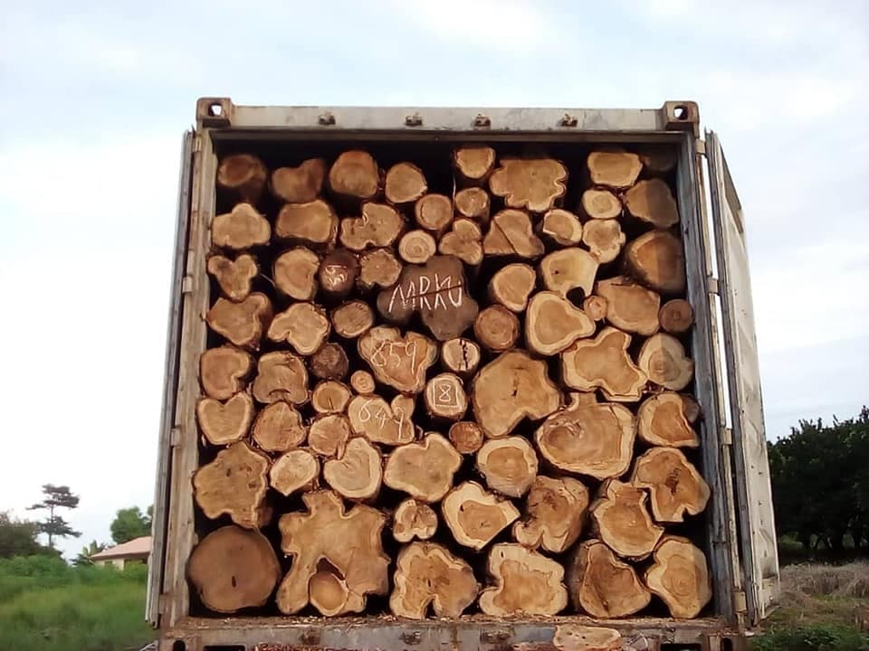 Teak round logs