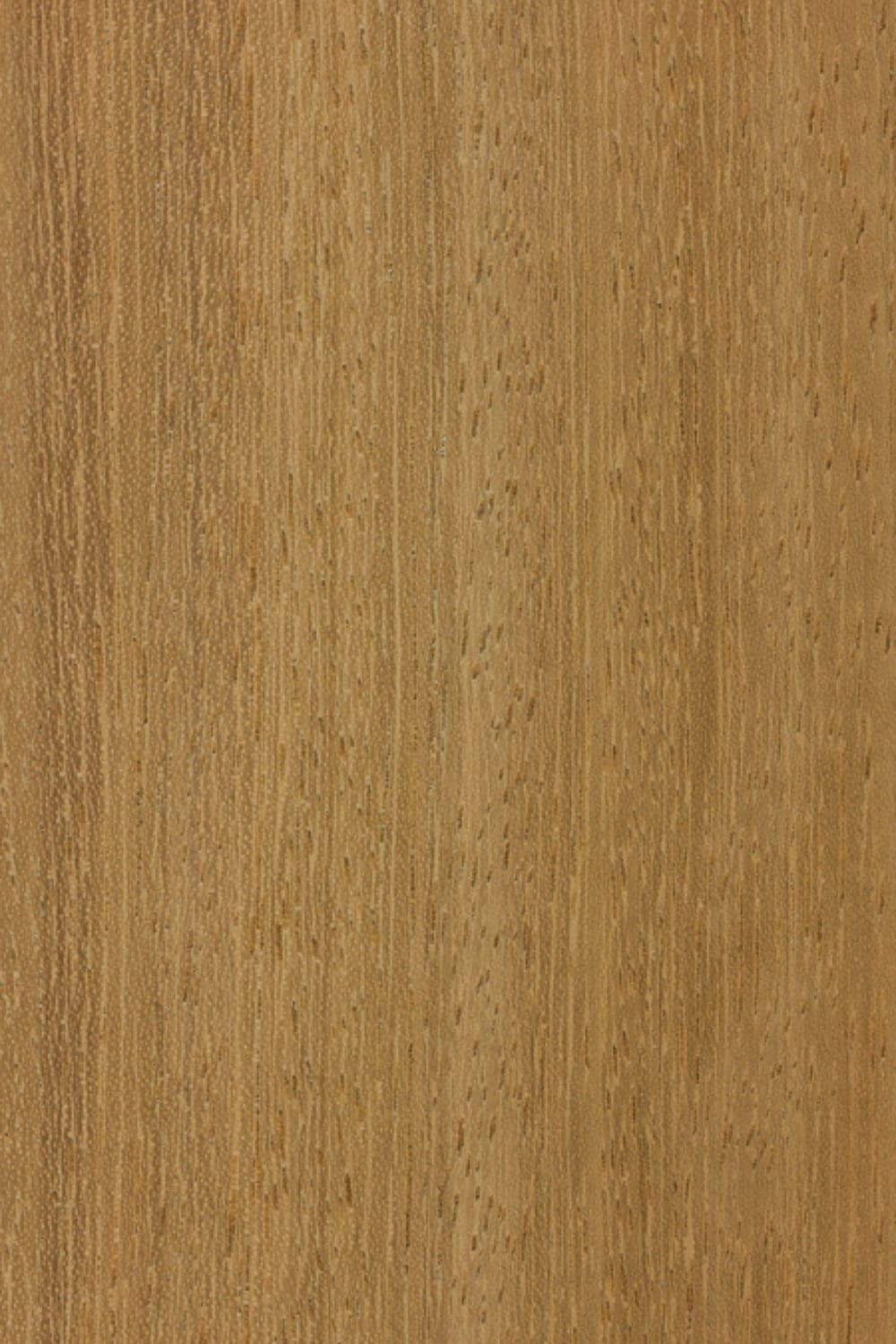 Iroko