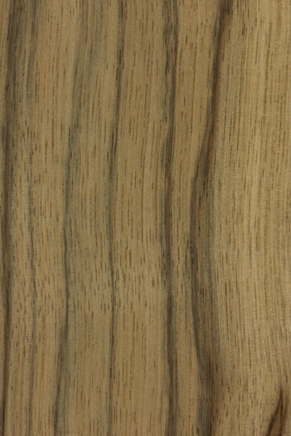 Limba