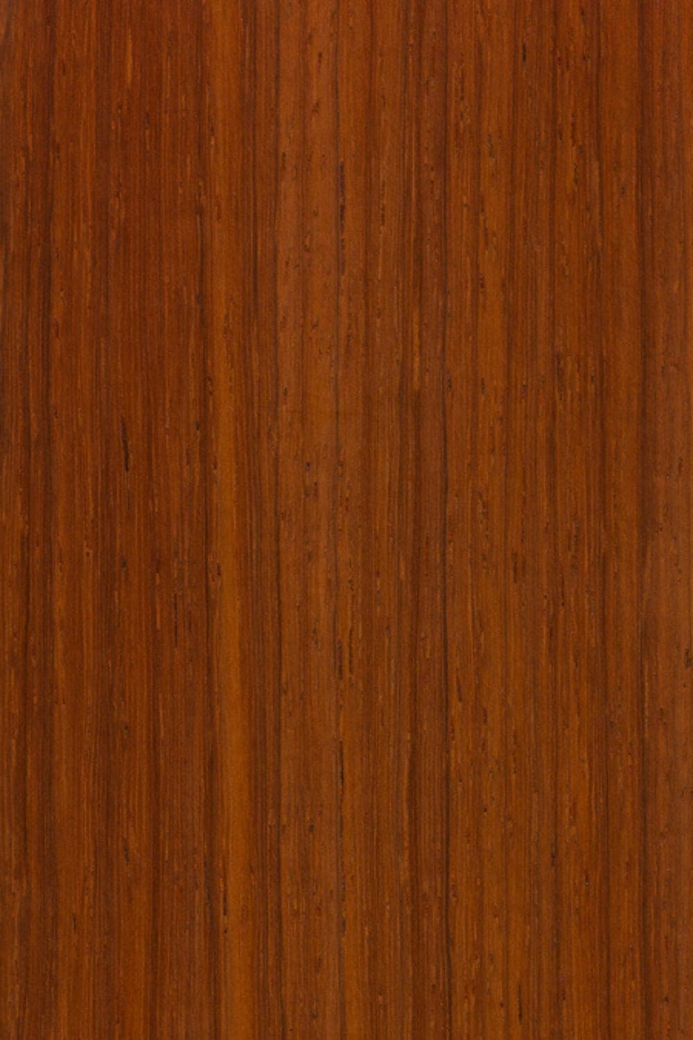 African Padauk